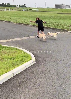 2匹一緒に引き取ることに