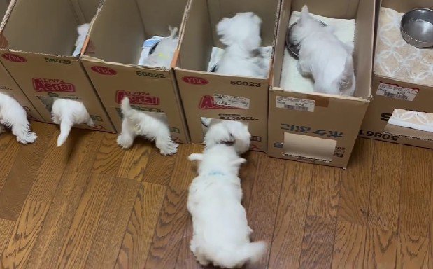 「ここ空いてる？」