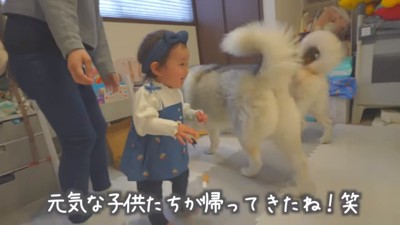 部屋に突入した2匹と娘さん