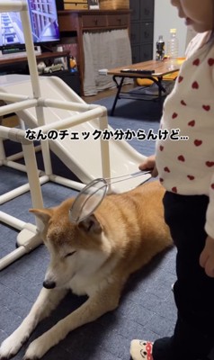 「検査」開始でーす