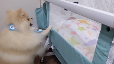 「よし♪泣き止んだみたい」