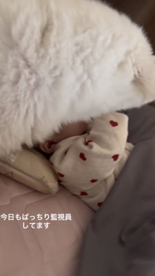 寝ている赤ちゃんを上から覗き込む犬