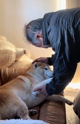 るるちゃんを撫でるおじいちゃん