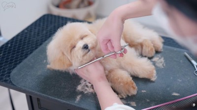 笑顔で寝ちゃった!?