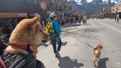 人が多くて緊張気味のソラくん