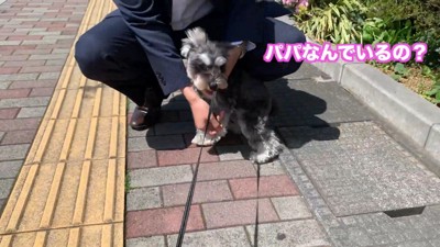 思った以上に大喜び♪