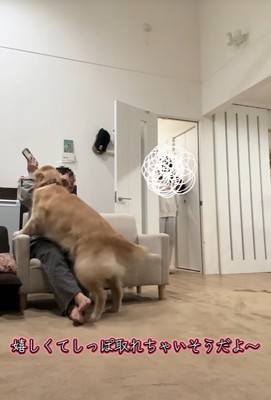 ハナコちゃんとお姉ちゃんの再会7