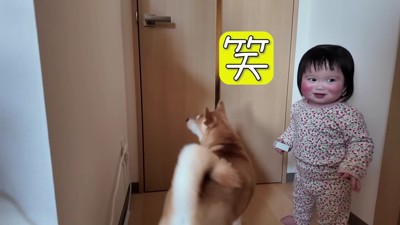 みいちゃんは爆笑