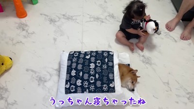 ほのちゃんがやってきた