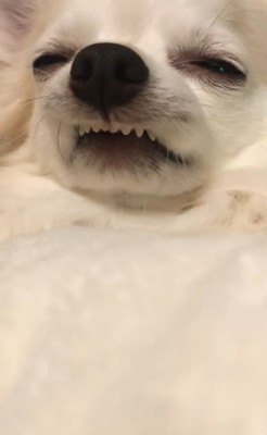 前歯がむき出しのありすちゃん2