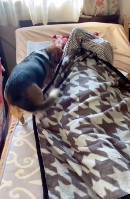 おじいちゃんに近づくさらんちゃん