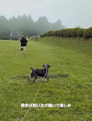 散歩を楽しむ飼い主さん