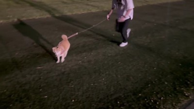 パパへの愛は変わらない