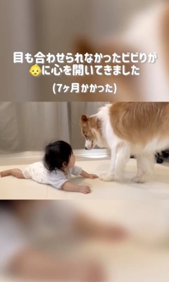 ここにきて大接近!