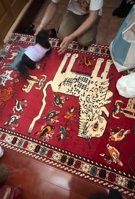 抱っこしてもらうのを待つ小型犬