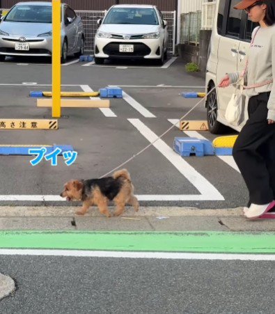 素通りされちゃった！