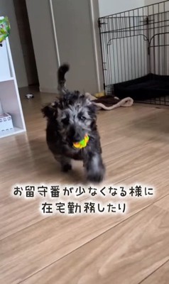 幸せを掴んだオレオくん5