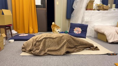 「あれは、まさか…」