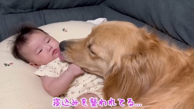 赤ちゃんに添い寝