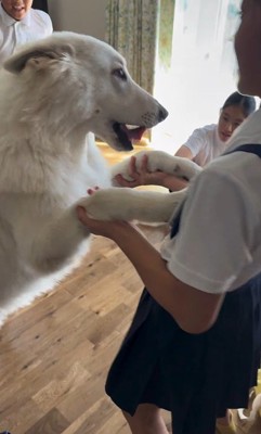 帰宅後のお子さんたちとまる君4