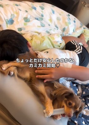 遊び始めるアムくん
