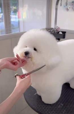 丸みを強調したスタイル