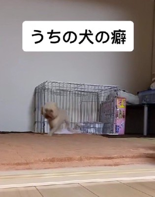 「もったいぶらないで…」