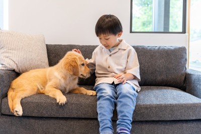 男の子と犬