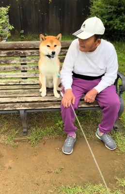 リードを引っ張り始める飼い主さん