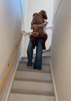 抱っこされて降りる大型犬