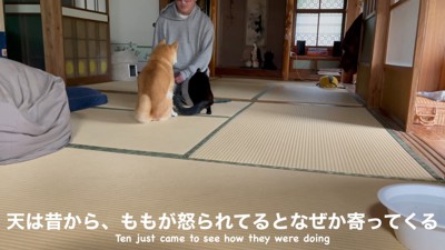 天ちゃんが仲裁に…