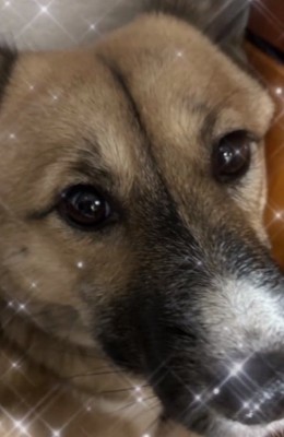 ドアップのりりィちゃん