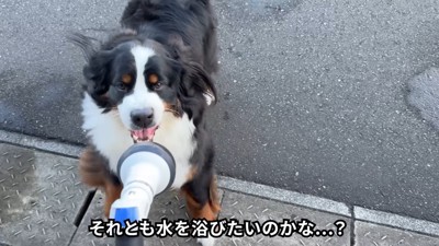 「負けないぞ～♪」