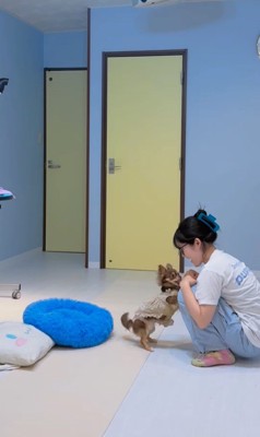 ショコラちゃんと仲良くなるまで7