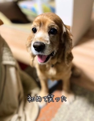 笑顔の茶子ちゃん