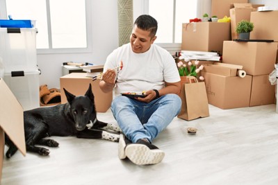 素っ気ない態度の犬