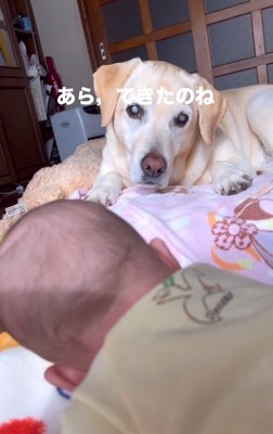 寝返りができた赤ちゃん
