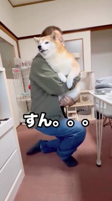 男性に抱き上げられて舌を出す犬