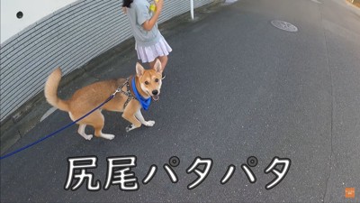 お父さんの看病をするワンジローくん9