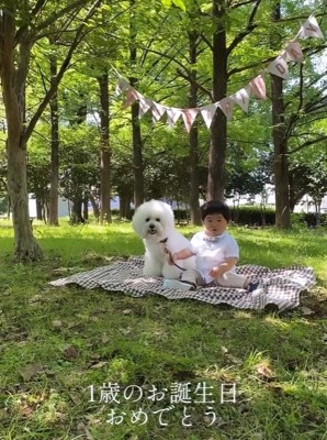 1歳の誕生日を迎えた赤ちゃんと小型犬