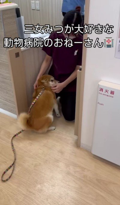 テンションが更にアップ!