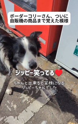 笑っているジッピーくん