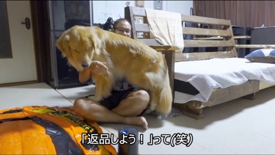 男性の膝の上に乗って電動ポンプを見つめる犬