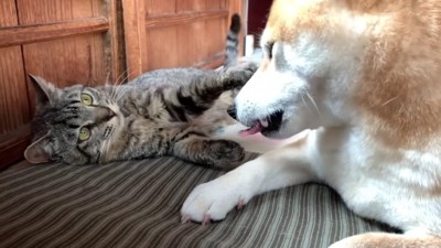 微笑ましいワンシーンでした