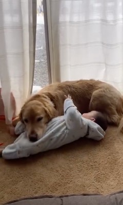 寝返りを打ちたい