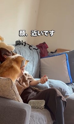 エルモちゃんのおもてなし3