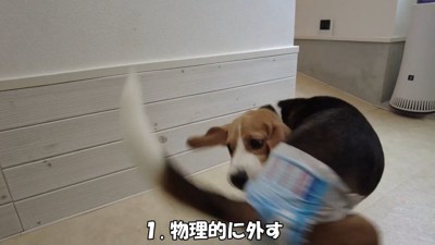 届かなくて、ぐるぐる…