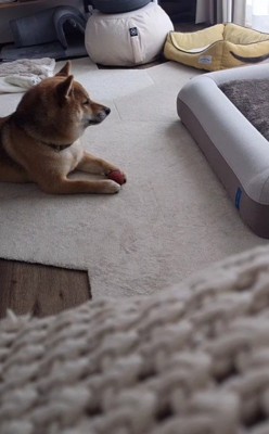 全然見てない…