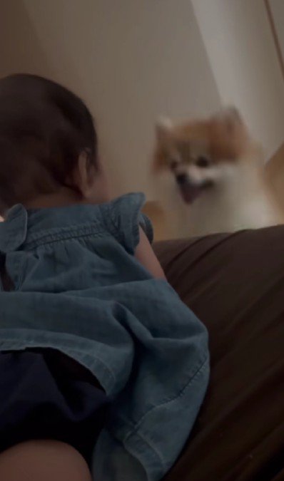 「一緒に遊ぼう!!」