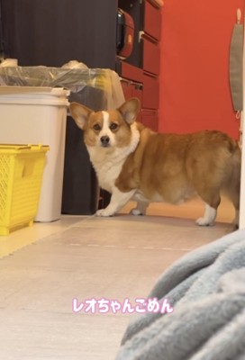 「なんとかならん？」